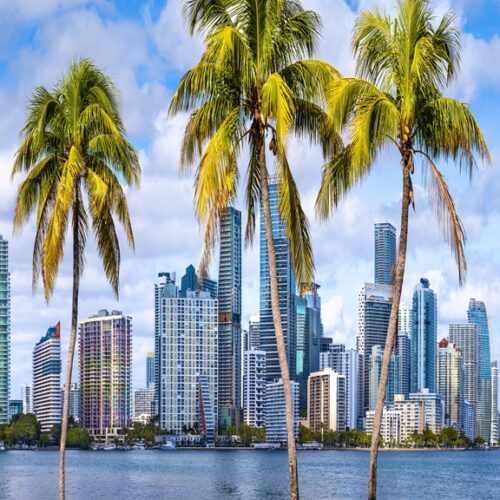 The,Skyline,Of,Miami,With,Palm,Trees,,Florida